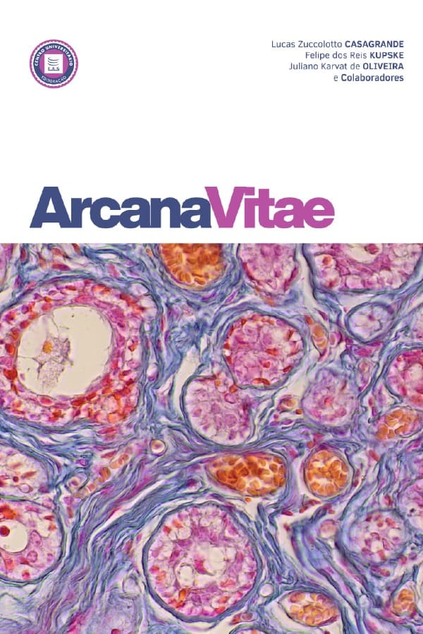Capa Vol. 1 Nº 978-65-89062-90-5