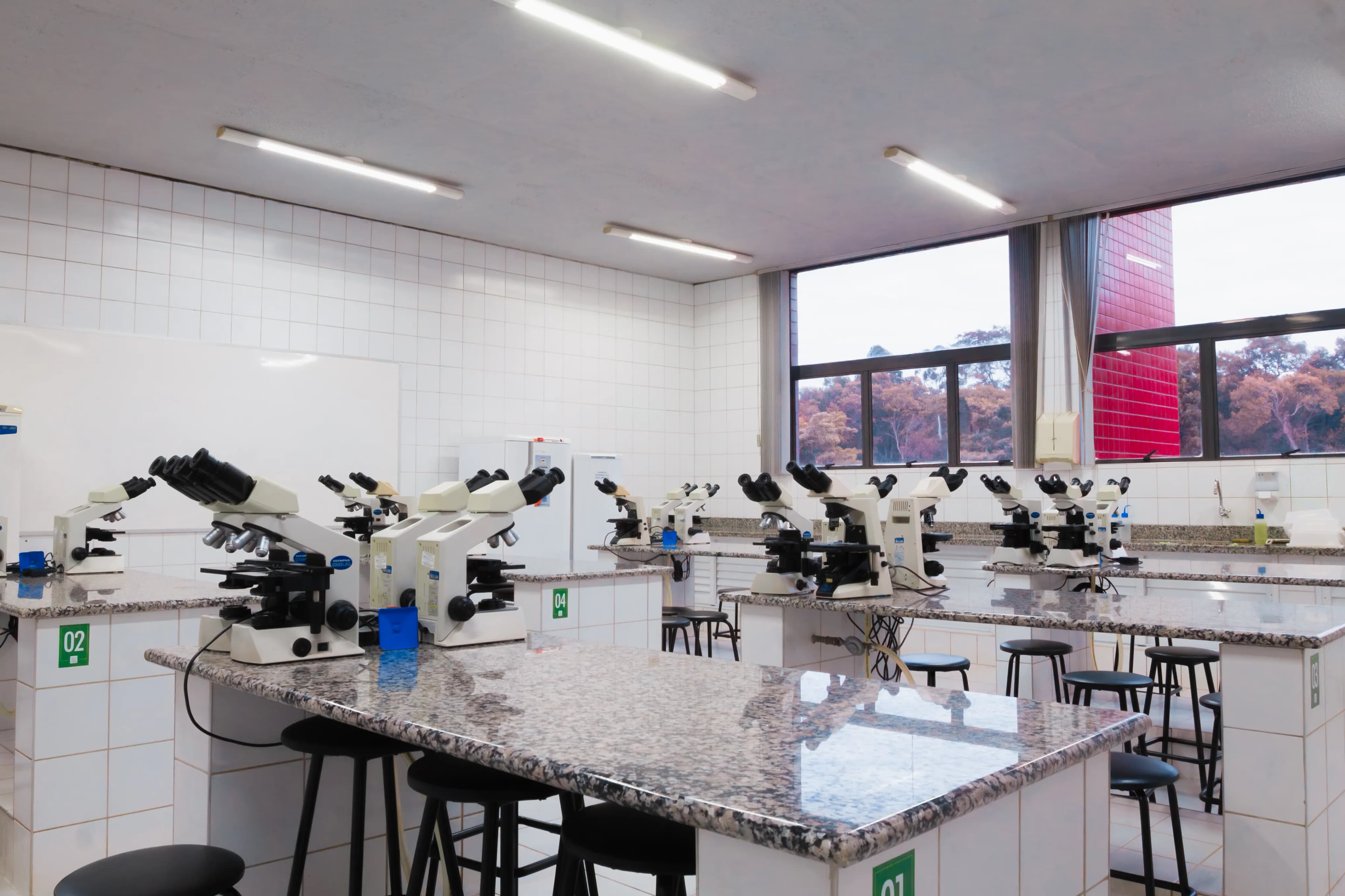 Laboratório de Microscopia I