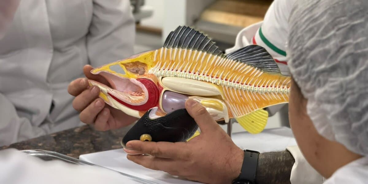 Acadêmicos de Ciências Biológicas realizam dissecação de tilápia em aula prática de Zoologia