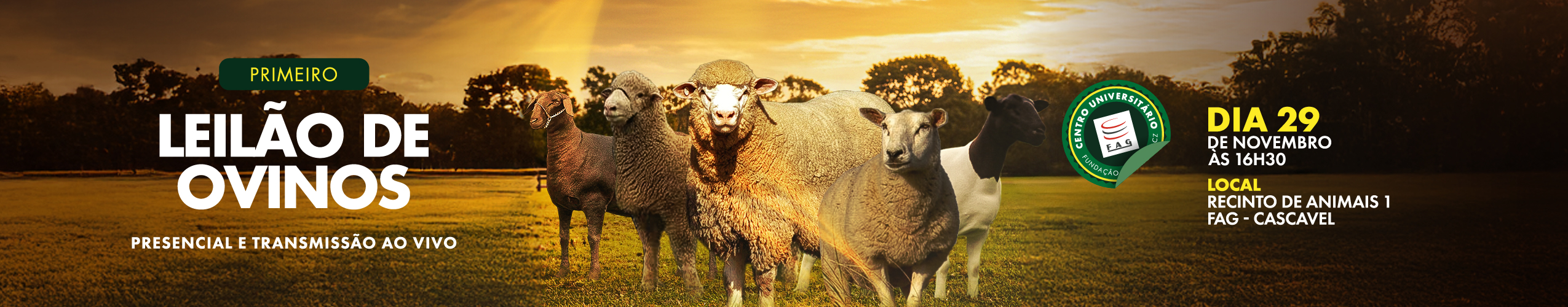 Banner Banner-Leilao