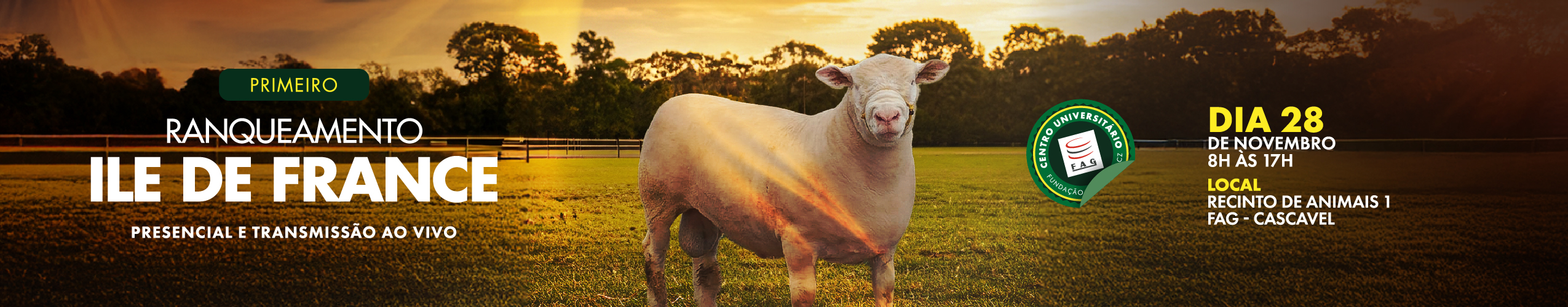 Banner Banner-Ranqueamento